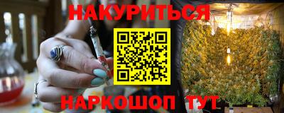 сатива Бузулук