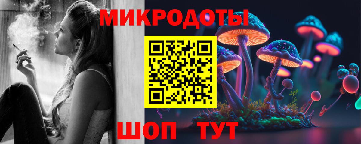 Псилоцибиновые грибы GOLDEN TEACHER  Вход с VPN  Сальск 